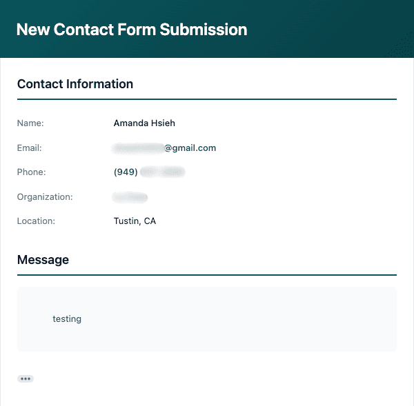 Form submission details sent to founder